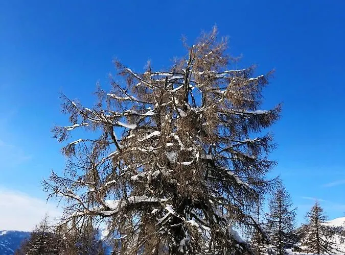 Ferienwohnung Suntinger Apollonia