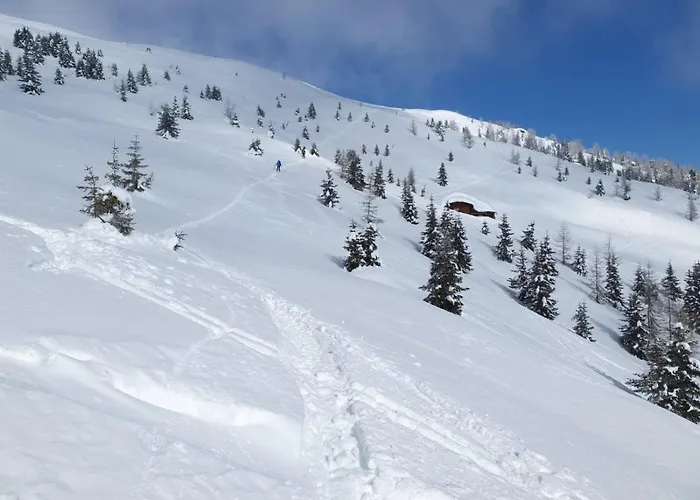 Ferienwohnung Suntinger Apollonia Großkirchheim